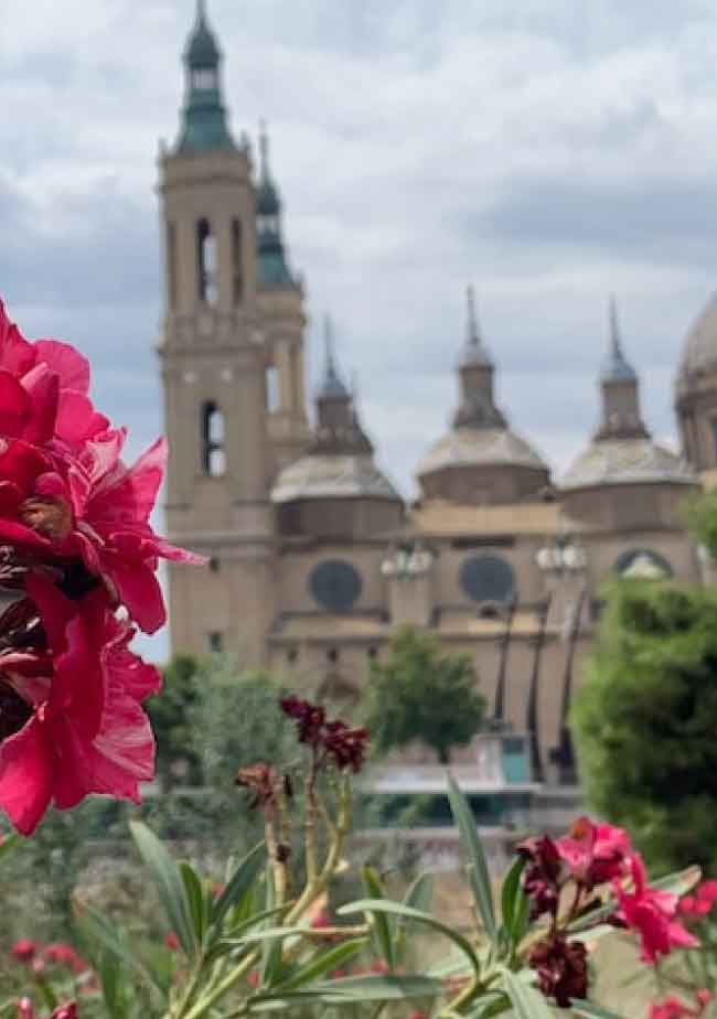gestión de apartamentos turísticos Zaragoza