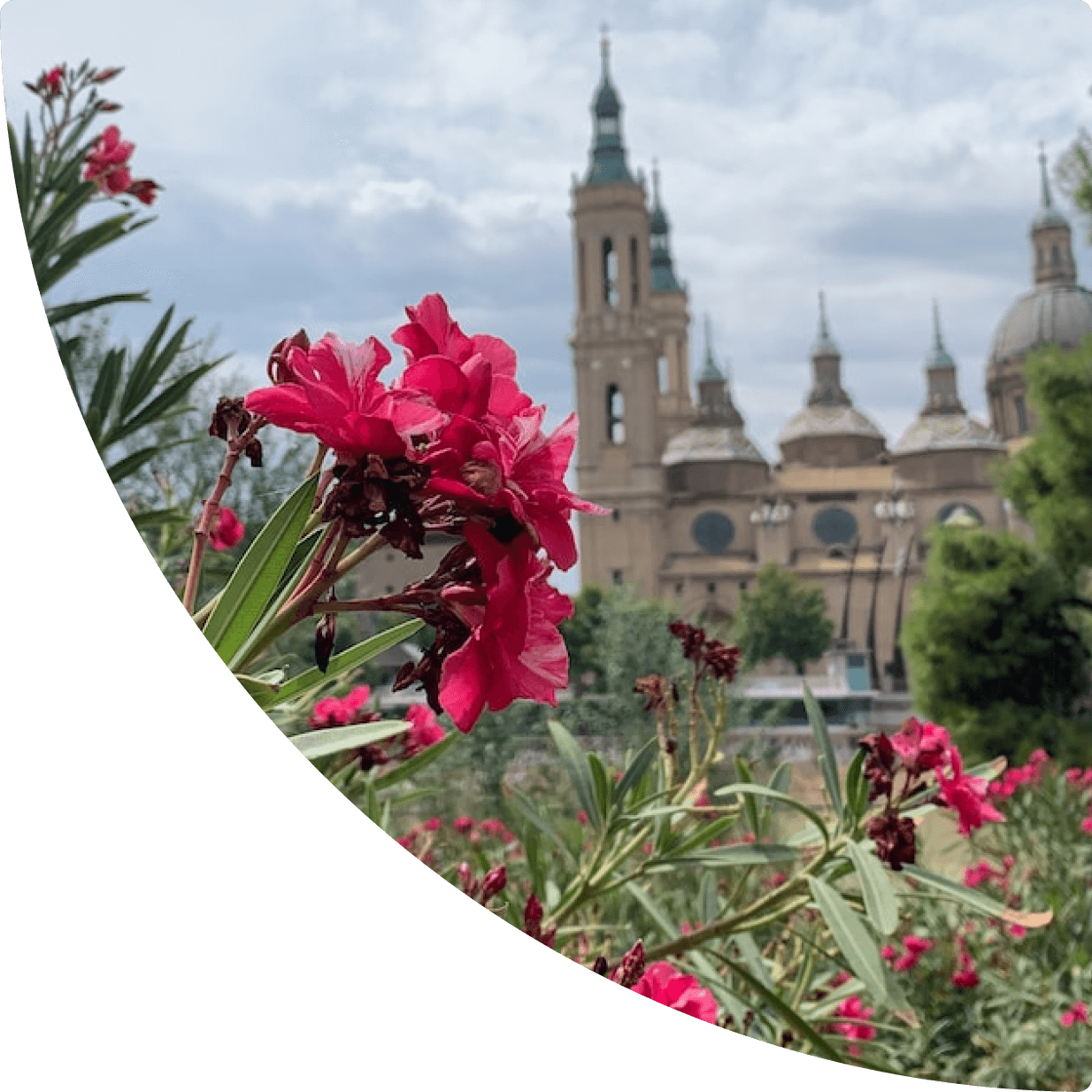 gestión de apartamentos turísticos Zaragoza