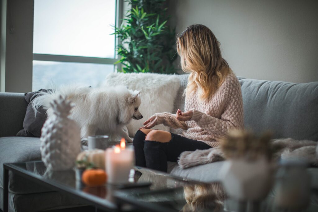 Une femme aux cheveux blonds ondulés est assise sur un canapé gris, vêtue d'un pull rose et d'un jean noir déchiré, tenant une friandise pour un chien blanc tout doux - louer residence principale