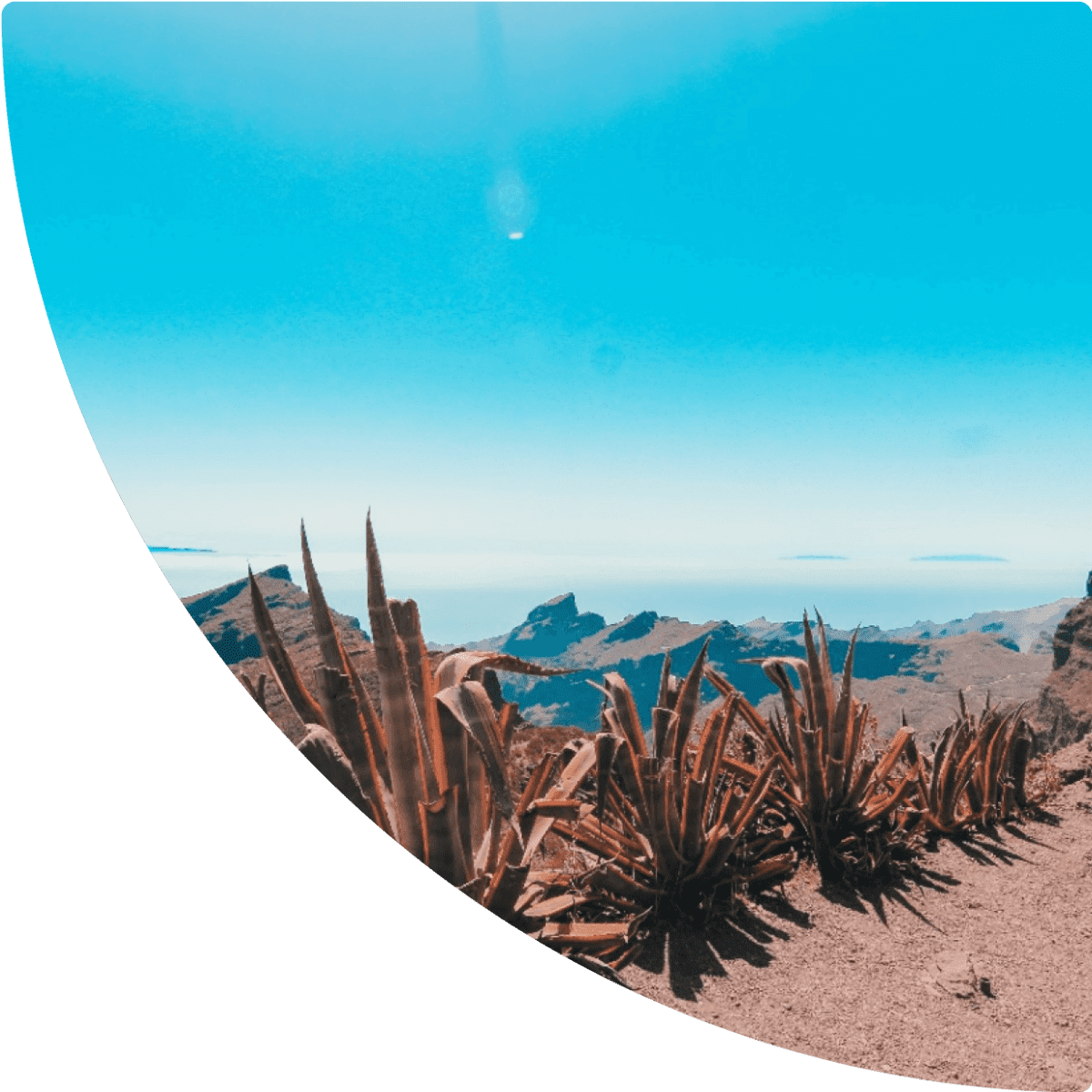 a desert landscape with plants and mountains