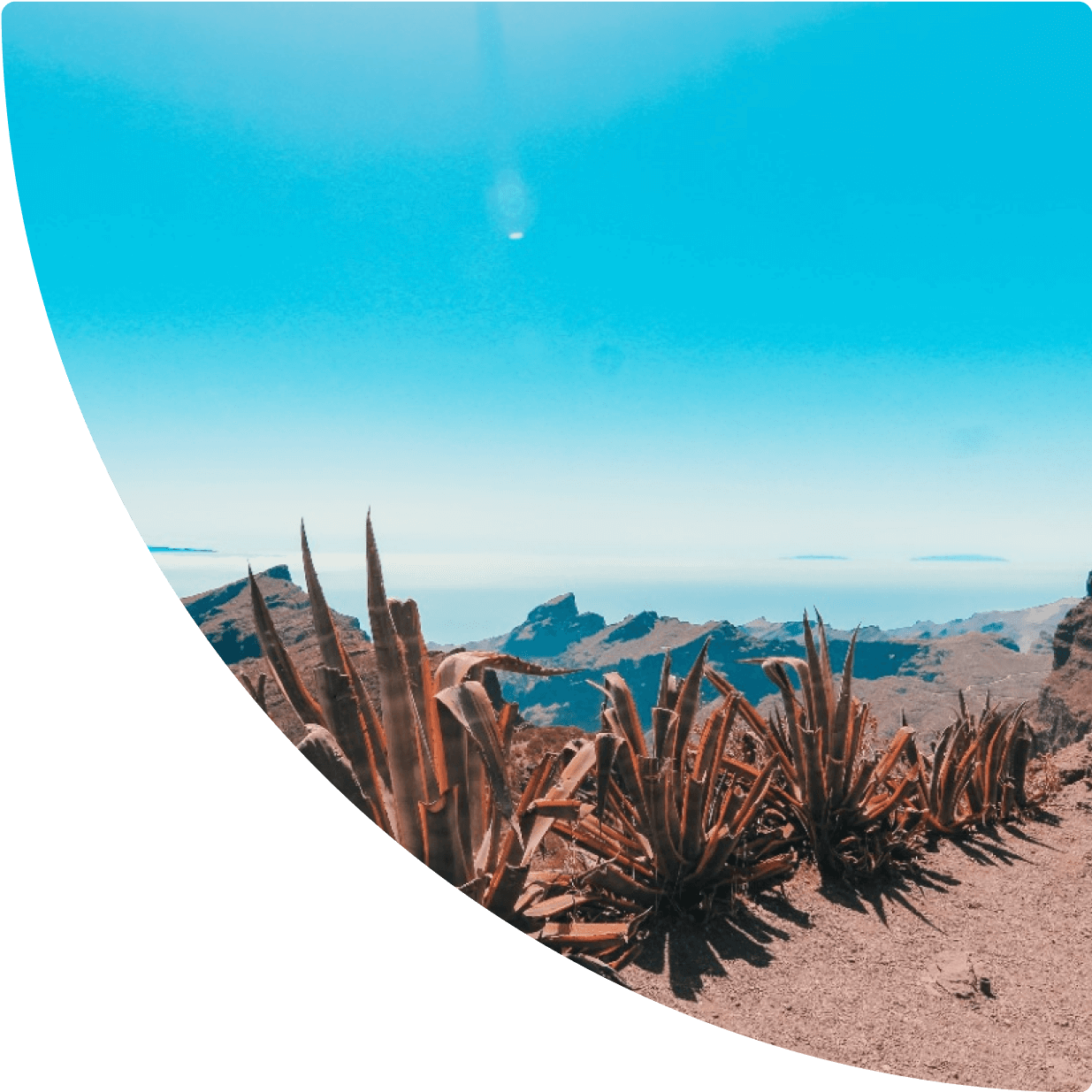 a desert landscape with plants and mountains