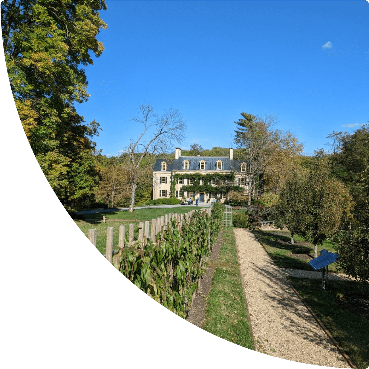 a house with a garden and trees