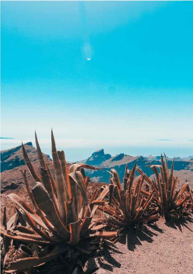 gestión de apartamentos turísticos en Tenerife