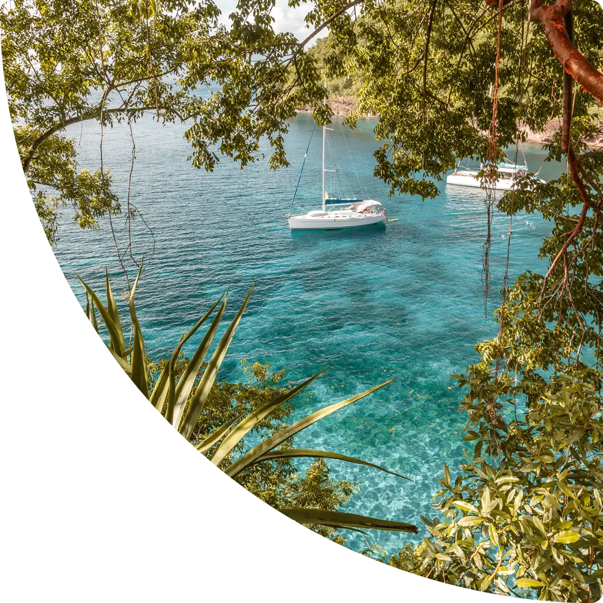 Tropical bay with turquoise waters, sailboats and lush greenery, Airbnb management in Martinique