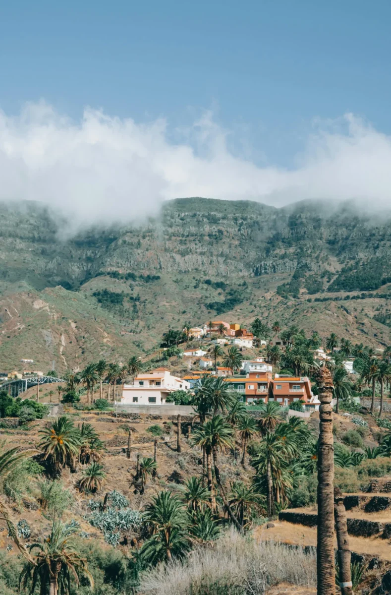 Palm-filled valley in La Gomera with hillside houses and misty mountains in the background - Airbnb management in La Gomera
