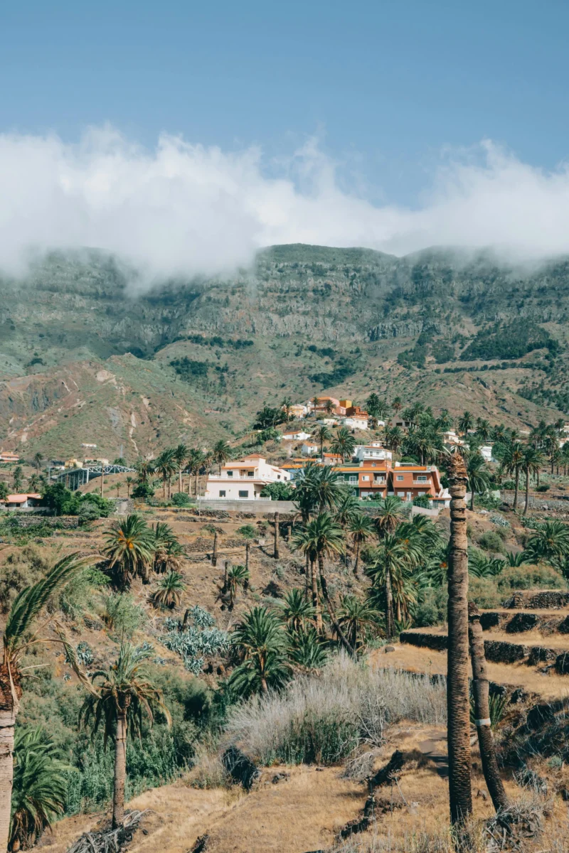 Valle de La Gomera lleno de palmeras, con casas en la ladera y montañas con niebla al fondo - gestión de apartamentos turísticos en La Gomera